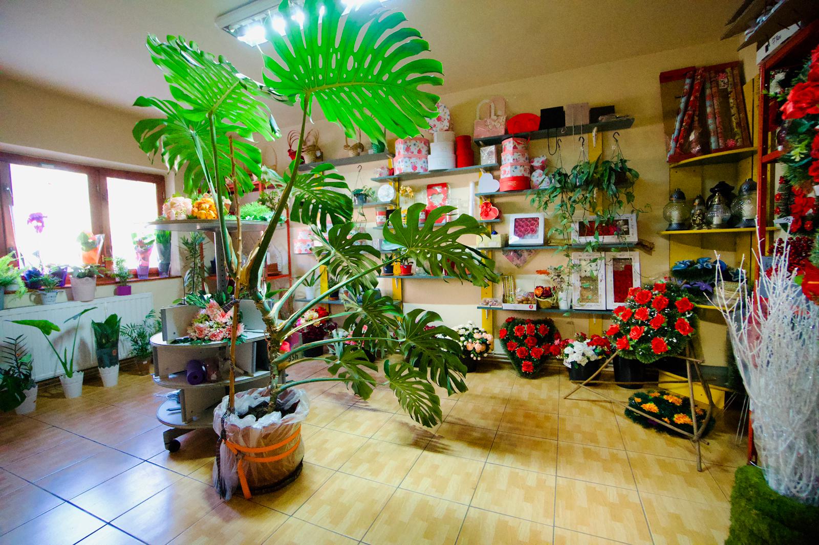 3 Spatii comerciale in Salonta zona Gari.