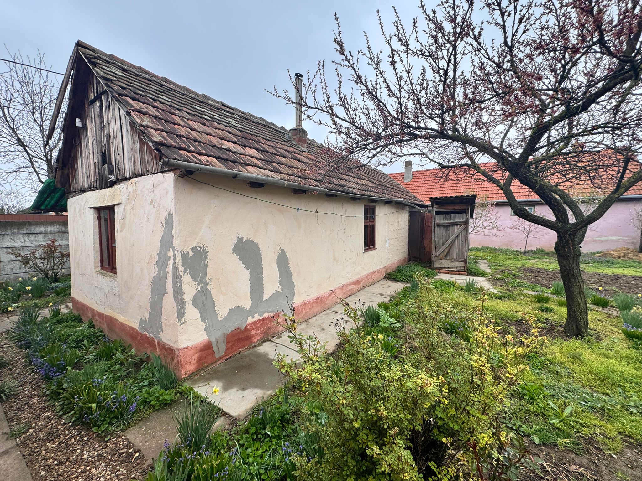 CASA PROASPAT RENOVATA IN SALONTA