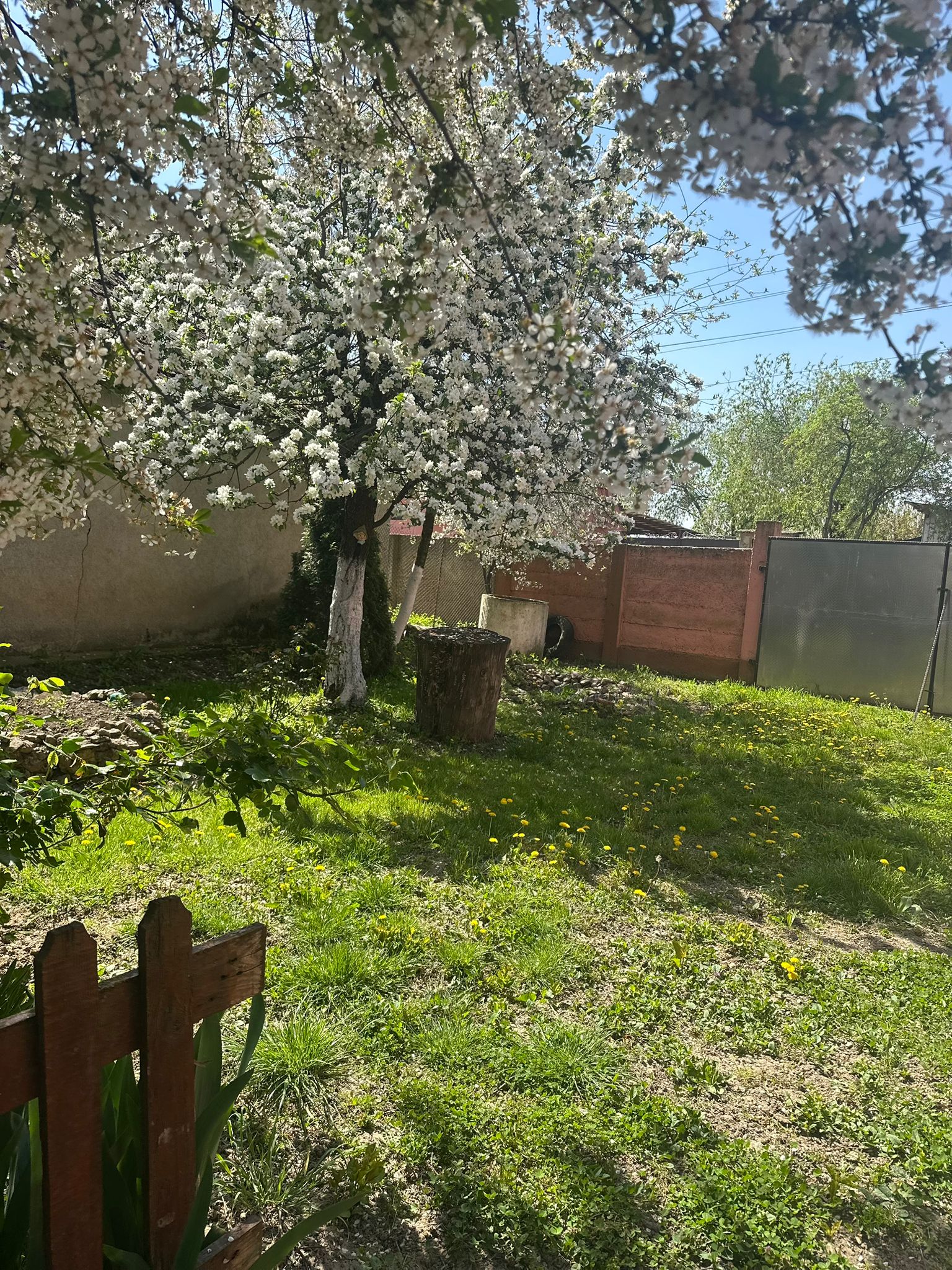 Casa cu potential in Boiu , Bihor ! teren extrem de generos.