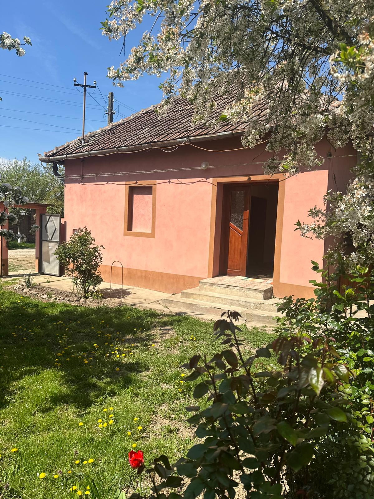 Casa cu potential in Boiu , Bihor ! teren extrem de generos.